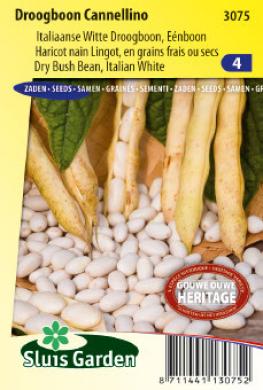 Bush Beans Cannellino (Phaseolus) 175 seeds SL